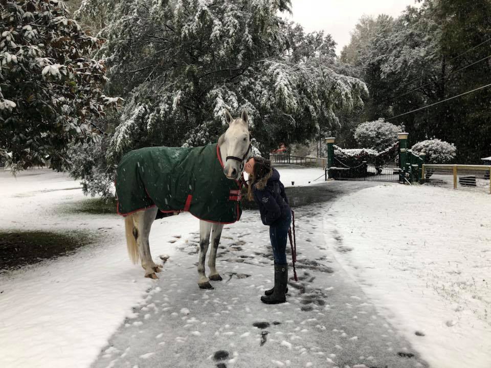 Christian Kissing horse.jpg